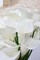 30Pack Real Touch PU Latex Artificial Calla Lily Flowers for Wedding Party and Home Decor-White